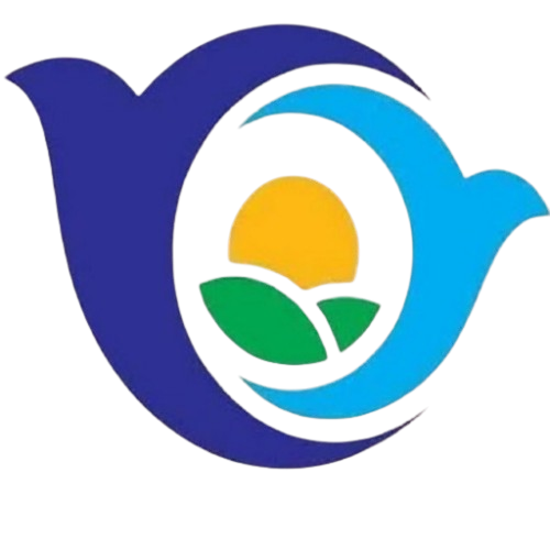 سازمان توسعه گردشگری